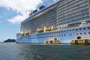 Bay of Islands 31oct2019 (267)